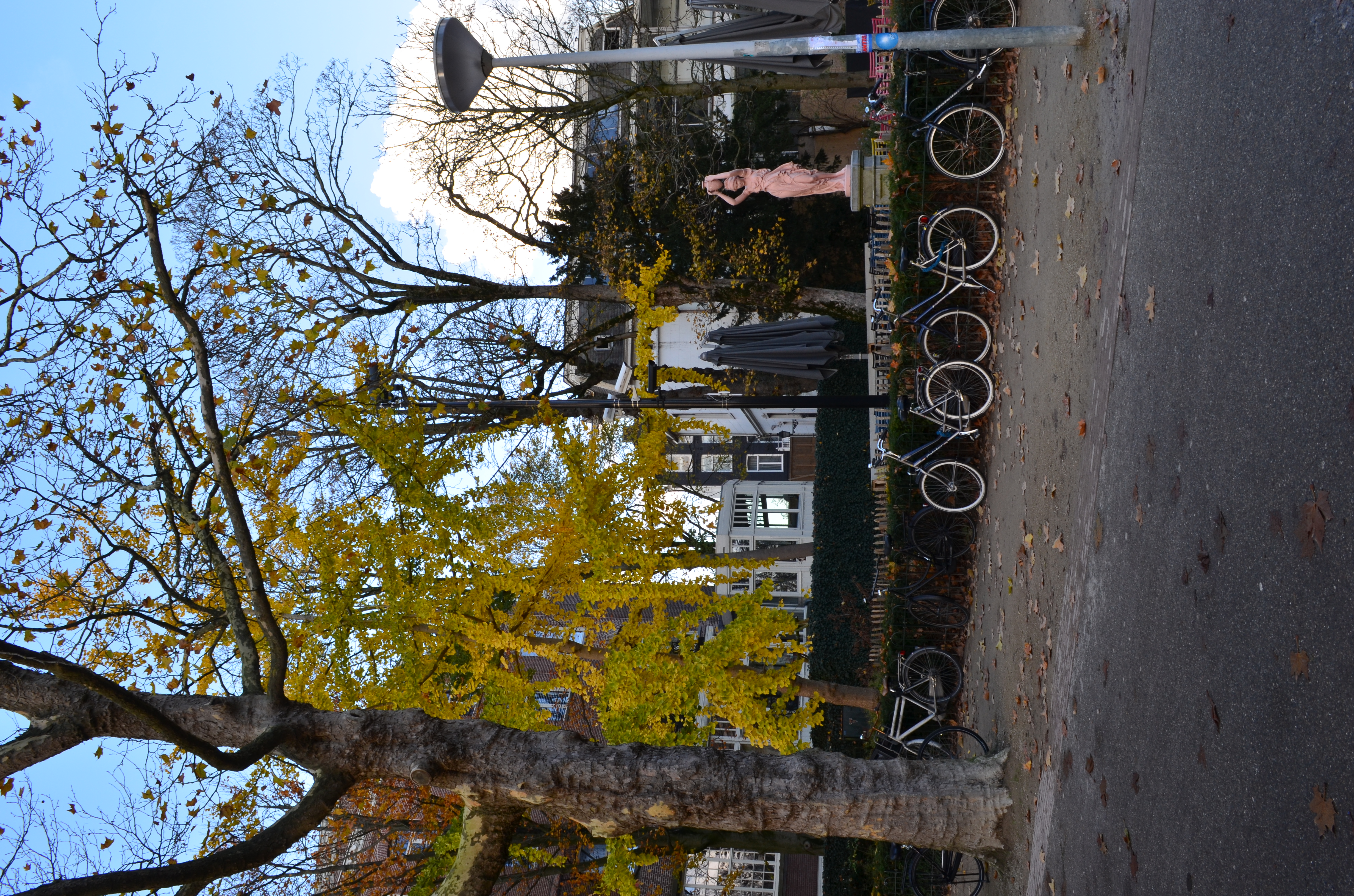 ./2017/19 - Viking Lif/13 - Amsterdam, The Netherlands/DSC_0544.JPG